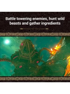 Nintendo Switch The Legend Of Zelda: The Breath Of The Wild -NARA Computer Shop KKKA3 SQ5 0000000099 N A SLd3