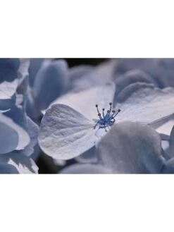 Sigma 105mm F/2.8 EX Macro DG HSM Optical Stabilised Lens Nikon D Fit -NARA Computer Shop LUYYD SQ5 0000000088 NO COLOR SLd3