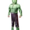 The Avengers Avengers Deluxe Hulk