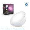 Philips Hue Hue BT - Go Portable Light 12V -NARA Computer Shop PG6P7 SQ1 0000000088 NO COLOR SLf