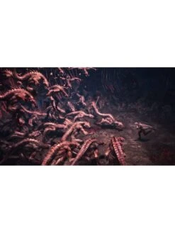 PlayStation 5 Devil May Cry 5: Special Edition 15 PlayStation 5 Devil May Cry 5: Special Edition -NARA Computer Shop REPUH SQ7 0000000088 NO COLOR SLd3