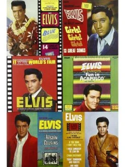 Elvis Presley: The Movie Soundtracks Collection (CD) -NARA Computer Shop RL9EA SQ3 0000000088 NO COLOR SLd1