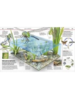 Knowledge Encyclopedia Science -NARA Computer Shop RL9ER SQ5 0000000088 NO COLOR SLd3