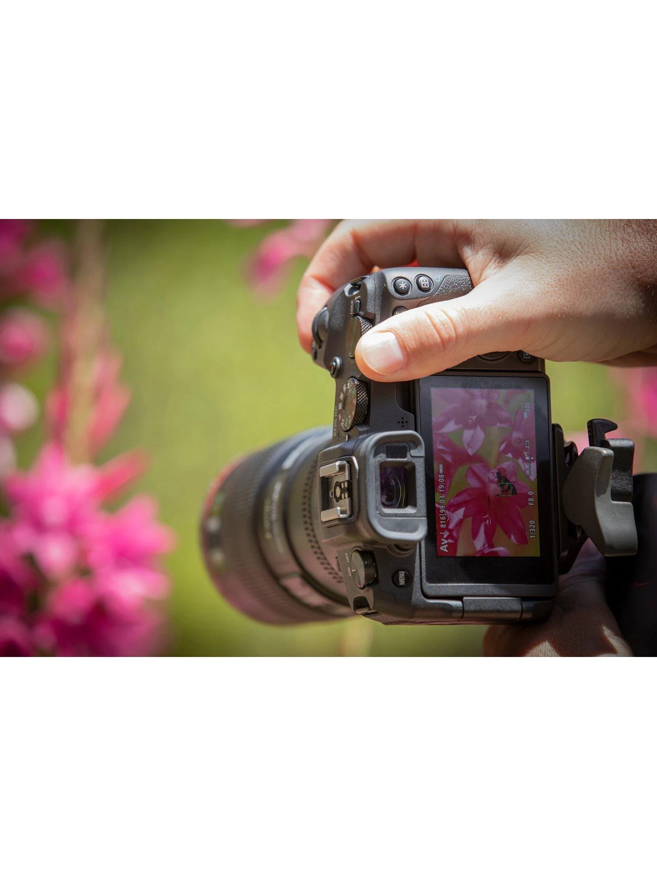 Canon® Canon EOS RP Full Frame Mirrorless Camera - Body Only 8 Canon® Canon EOS RP Full Frame Mirrorless Camera - Body Only - Image 6