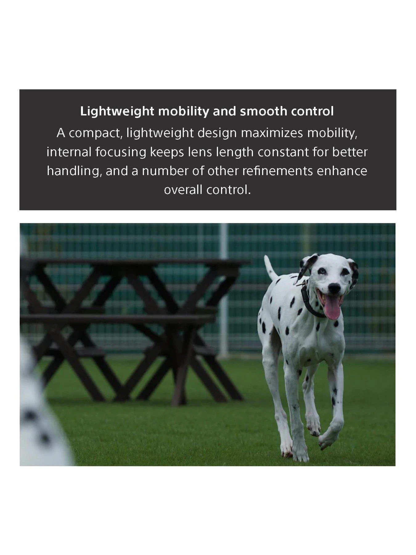 Sony FE 70-200mm F4 G OSS Telephoto Zoom Lens SEL70200G.AE 9 Sony FE 70-200mm F4 G OSS Telephoto Zoom Lens SEL70200G.AE - Image 7