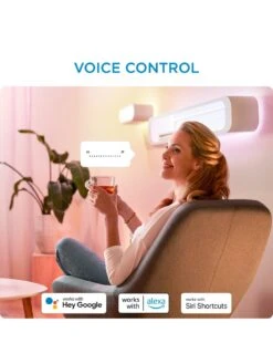 WiZ Wi-Fi BLE Portable Hero White Type-G -NARA Computer Shop UN3QX SQ5 0000000088 NO COLOR SLd3