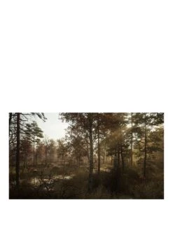 PlayStation 5 Chernobylite -NARA Computer Shop UPTYV SQ3 0000000099 N A SLa