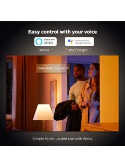 Philips Hue WCA 9W A60 B22 2-Pack UK -NARA Computer Shop V849L SQ4 0000000099 N A SLd2