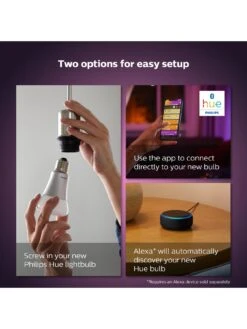 Philips Hue WCA 9W A60 B22 2-Pack UK -NARA Computer Shop V849L SQ5 0000000099 N A SLd3