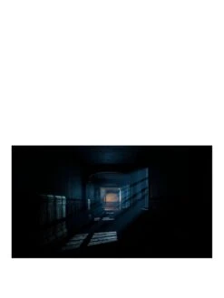 PlayStation 5 The Dark Pictures Anthology: The Devil In Me -NARA Computer Shop VAPJ8 SQ3 0000000088 NO COLOR SLa