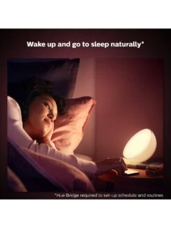 Philips Hue HB - Philips Hue Go And Dimmer Switch V2 -NARA Computer Shop VGENJ SQ4 0000000099 N A SLd2