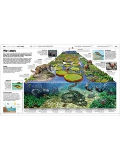 Knowledge Encyclopedia Earth Book -NARA Computer Shop VGGZC SQ5 0000000099 N A SLd2