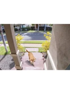 TP-Link TP Link D230S1 Video Doorbell With 2K Resolution -NARA Computer Shop VGQQT SQ5 0000000099 N A SLd1