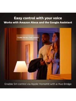 Philips Hue Ensis Hue Pendant Black 2x39W 24V 13 Philips Hue Ensis Hue Pendant Black 2x39W 24V -NARA Computer Shop VHA8K SQ5 0000000099 N A SLd3