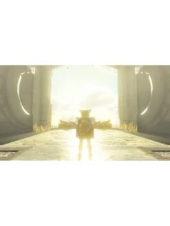 Nintendo Switch OLED OLED Neon Console & Zelda: Tears Of The Kingdom -NARA Computer Shop VIOL5 SQ4 0000000088 NO COLOR SLd