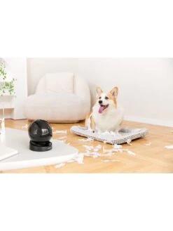 IMOU Rex 3D, Indoor PRO Dome Camera, 2K/3MP, Auto Tracking, Spotlight And 110dB Siren, AI Human & Abnormal Sound Detection, H.265 -NARA Computer Shop VIRYH SQ6 0000000088 NO COLOR SLd2