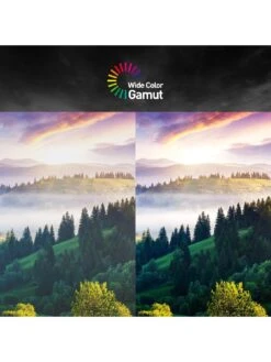 MSI G27C4X 27 Inch, Full HD, 250Hz, AMD Freesync Premium, Curved Gaming Monitor 14 MSI G27C4X 27 Inch, Full HD, 250Hz, AMD Freesync Premium, Curved Gaming Monitor -NARA Computer Shop VJN5N SQ6 0000000004 BLACK SLd2