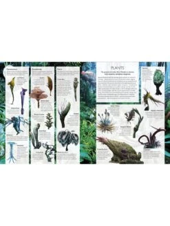 The World Of Avatar Book -NARA Computer Shop VLNRT SQ4 0000000099 N A SLd1