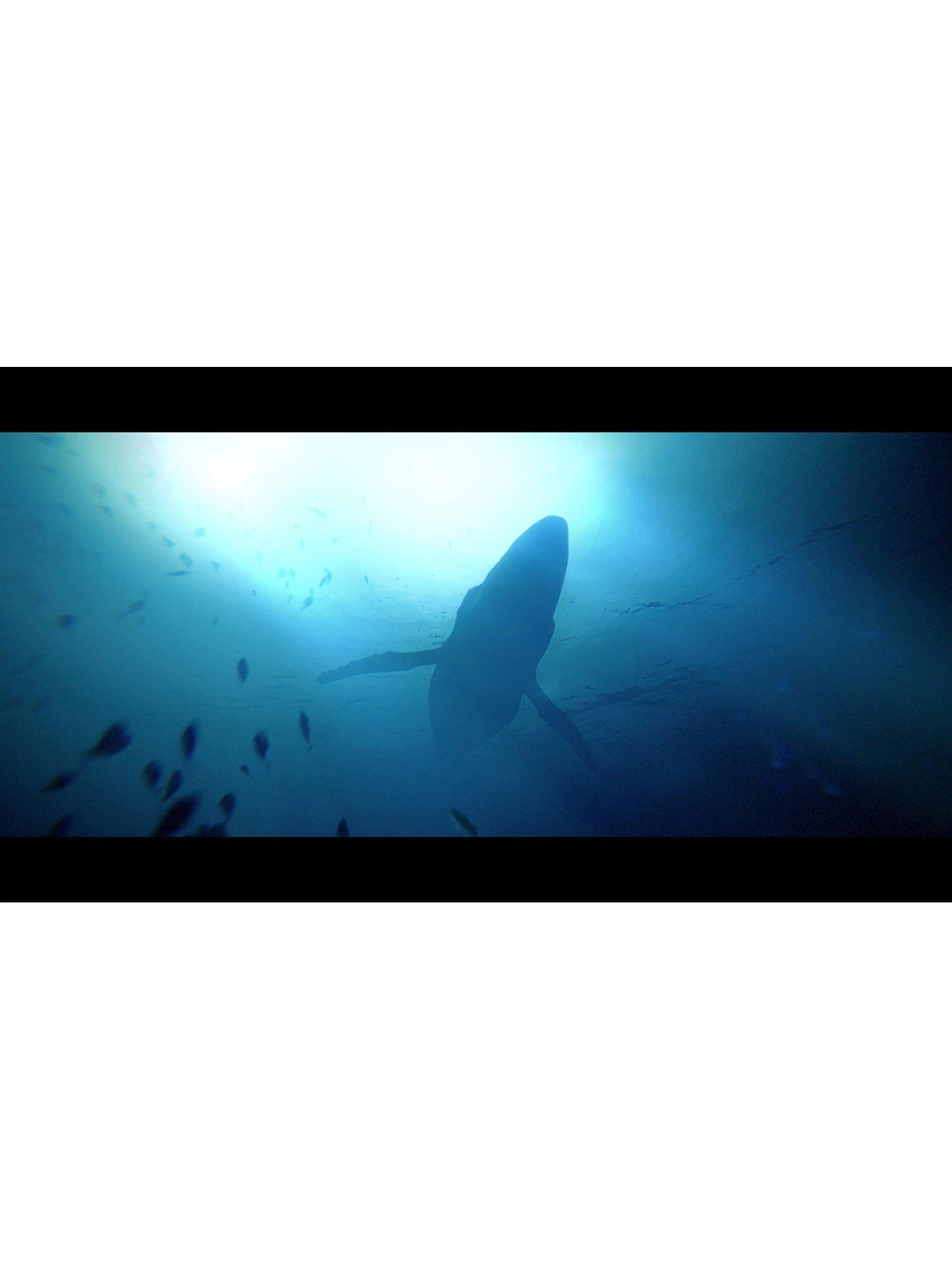 PlayStation 5 Under The Waves 7 PlayStation 5 Under The Waves - Image 5