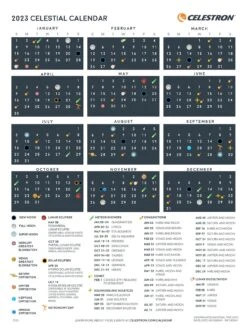 Celestron NexStar Evolution 5 SCT -NARA Computer Shop VQGLI SQ6 0000000035 SILVER SLd4